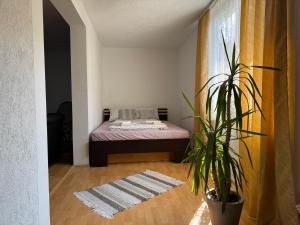 a bedroom with a bed and a potted plant at Studio Apartman Đurđevak 2 in Banja Koviljača
