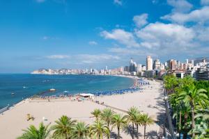 a beach with palm trees and the ocean and a city at Apartamentos la barca in Benidorm