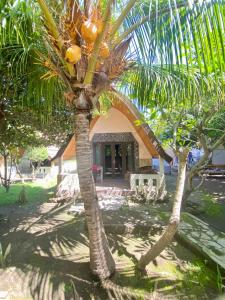 a palm tree in front of a house at meno smile cottages 2 in Gili Meno