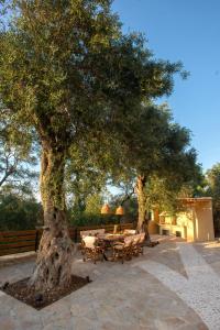 a table and chairs under a large tree at Villa Praxithea in Lákka