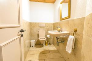 un bagno con WC, lavandino e specchio di Chalet Weid - Aare Jungfrau AG a Grindelwald