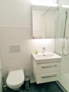 a bathroom with a toilet and a sink and a shower at Nika Apartment - Aare Jungfrau AG in Grindelwald