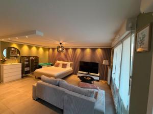 a bedroom with a bed and a couch and a television at Studio Etoile Elegance in Bartenheim