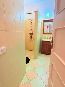 a bathroom with a shower and a sink at Farma P&P Apartmány in Vrchovany +41 photos