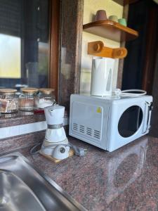a microwave sitting on a counter next to a sink at Sea & spiagge a 200m Stella del Salento in Brindisi