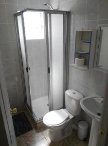 a bathroom with a toilet and a shower and a sink at Hostal Alto Algarrobal in Combarbalá