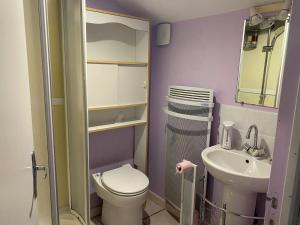 a small bathroom with a toilet and a sink at Meublé lilas in Réaumur