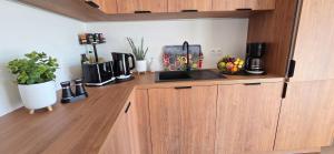 eine Küche mit Arbeitsplatte mit Spüle und Theke in der Unterkunft Tinyhouse SeeZeit in Lohmen