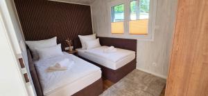 ein kleines Zimmer mit zwei Betten und einem Fenster in der Unterkunft Tinyhouse SeeZeit in Lohmen