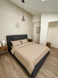 a bedroom with a large bed in a room at Le Vigne - Terrasse privée in Aytré
