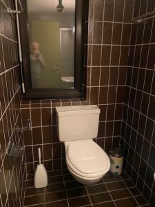 a bathroom with a toilet in a tiled bathroom at Cameretta Pineta Carì in Molare