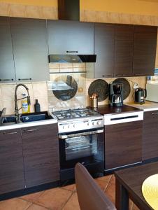 a kitchen with a stove and a sink at Apartament na kurzej stopce in Malbork