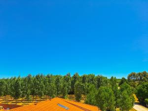 an overhead view of a building with an orange roof at Hotel-Albergue Puente Fitero in Itero de la Vega +9 photos