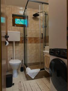 a bathroom with a toilet and a glass shower at Apartman Aleksandra 2 in Bečej