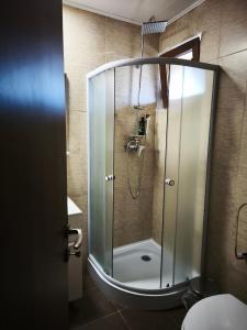 a shower with a glass door in a bathroom at Bunătăți din Retezat in Nucşoara +49 photos