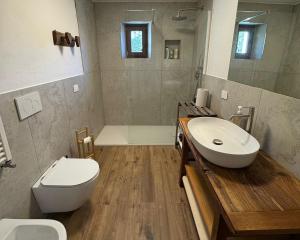 a bathroom with a toilet and a sink and a shower at Maison BelleVue in Châtillon