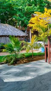 a garden with trees and a building with yellow flowers at Calm Night Surf Stay in Arugam Bay