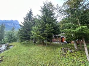 a house on a hill with trees and a river at The Meridian in Valbonë +4 photos