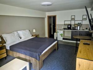 a hotel room with a bed and a kitchen at Family hotel Maxim in Beroun +65 photos