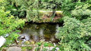 an overhead view of a river in a forest at Le Terminus in Ax-les-Thermes +18 photos