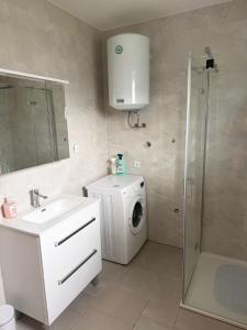 a bathroom with a washing machine and a washer at Studio apartman Katja in Karlovac