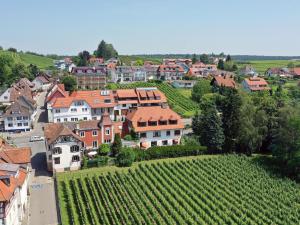 a town with a vineyard and a bunch of houses at Gästehaus Ainser in Hagnau
