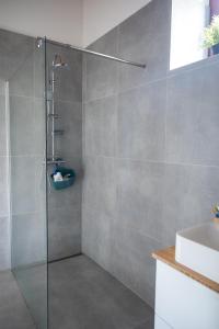 a shower with a glass door in a bathroom at Pod Skalou in Temeš +16 photos