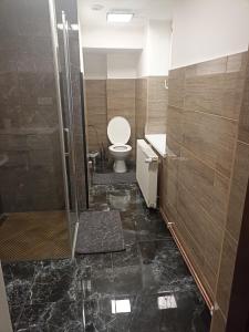 a bathroom with a shower with a toilet and a sink at Apartmán Slepička in Weissbach +38 photos