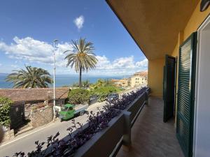 a balcony with purple flowers and a view of a street at Fiore's house in Porto Santo Stefano