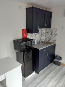 a kitchen with black cabinets and a sink and a stove at The Place CABIN in Coleraine