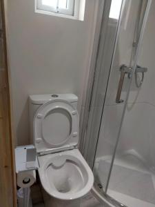 a small bathroom with a toilet and a shower at The Place CABIN in Coleraine