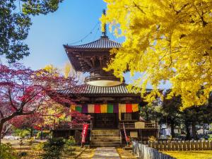 a pagoda in a park with yellow trees at Hotel Route-Inn Ashikaga Ekimae in Ashikaga