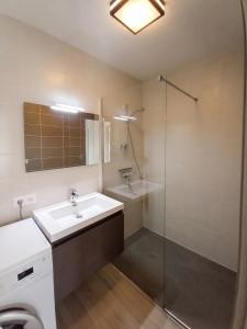 a bathroom with a sink and a shower at Appartement charmant à Chambéry de 35 m² + balcon privatif in Chambéry