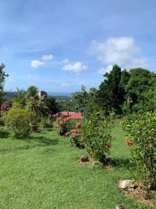 a garden with flowers and plants in the grass at Appartement charmant à Rivière-Salée, 45 m² avec terrasse privée in Rivière-Salée