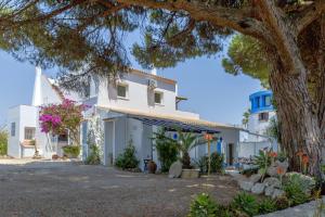 a white building with a tree in front of it at Albufeira Oasis Pool & Views in Albufeira