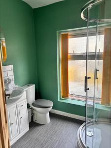 a green bathroom with a toilet and a shower at Maple, 3 Double Beds, Contractors Welcome in Abertillery +13 photos