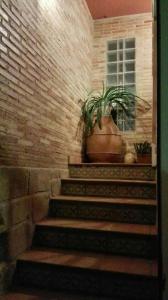 a set of stairs with a plant in a pot at Charming Apartment in Castelserás - 60 sqm - Parking included in Castelserás