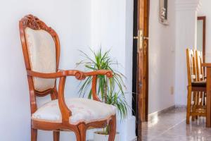 a wooden chair sitting in a room with a plant at House by the sea in Can Picafort with terrace in Can Picafort +26 photos