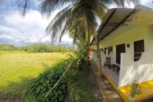 Vườn quanh Paddy Field View Resort