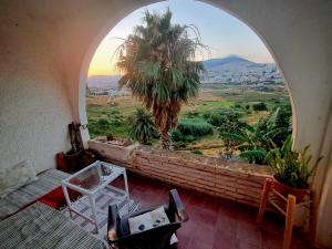 a room with an arched window with a palm tree at Dar YLA in Tétouan