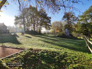 a grassy field with a fence and trees at Maison charmante au cœur d'Alligny-en-Morvan avec vue in Alligny-en-Morvan