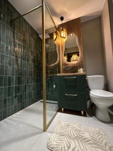a bathroom with a toilet and a green tiled wall at Zara Home Cozy Studio in Petroşani