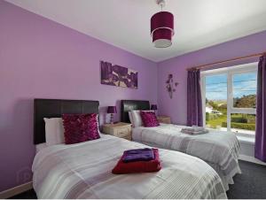 two beds in a bedroom with purple walls and a window at ANNORA Bar & Accommodation in Portnoo