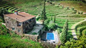 an aerial view of a house with a swimming pool at Charming Villa with Private Pool in Lamego in Lamego
