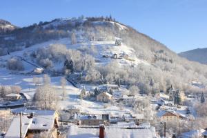a village covered in snow with a mountain in the background at Appartement confortable à Cornimont 30 m² vue montagne in Cornimont