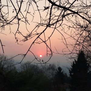 um pôr-do-sol visto através dos ramos de uma árvore em La Bella Dormiente B&B em Castellamonte