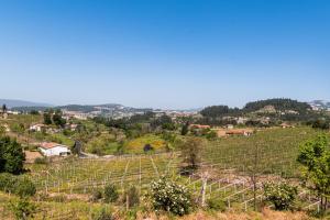 a view of a vineyard from a hill at Idyllic Villa in Fornos + Pool! in Fornos