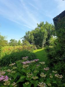 a garden with flowers and trees in a field at Charming room in Sornay