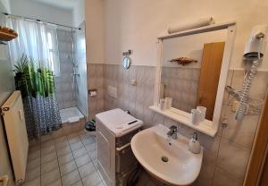 a bathroom with a sink and a mirror and a shower at Ferienwohnung MIWE Gesundheitszent in Forst
