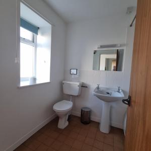 a white bathroom with a toilet and a sink at Oer in Llangian